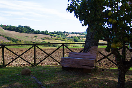 Vista panoramica del giardino